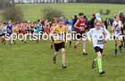 Boys Under-13s 2023 UK CAU Inter Counties Cross Country Champs, Prestwold Hall, Loughborough. Photo: David T. Hewitson/Sports for All Pics